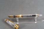 Sailor 1911 Demonstrator 21K Gold Nib Pen