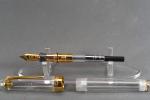 Sailor 1911 Demonstrator 21K Gold Nib Pen