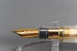Sailor 1911 Demonstrator 21K Gold Nib Pen