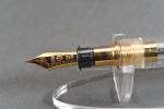 Sailor 1911 Demonstrator 21K Gold Nib Pen