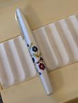 Vintage BC Flower Pattern Pilot Fountain Pen