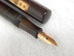 Waterman S 54 BCHR Fountain Pen with Flex Nib