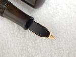 Waterman S 54 BCHR Fountain Pen with Flex Nib