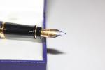 Waterman Expert Vintage Fountain Pen - Marbled Blue