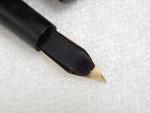 Waterman No. 14 Eyedropper Fountain Pen with Flex Nib