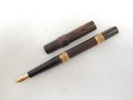 Waterman No. 14 Eyedropper Fountain Pen with Flex Nib