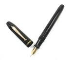 Vintage Moore Fountain Pen with 14K Gold Nib