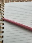 Parker Jotter Princess Debutante Dusty Pink Pen