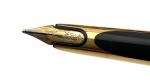 Waterman Gold Barley Fountain Pen with 18K Nib