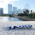 LACHIEVA LUX Stylish Acrylic Ballpoint Pen Set