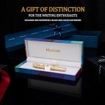 Luxury Fountain Pen with 18K Gilded Nib