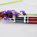 Luxury Fountain Pen Set: FPR Ambassador Borgogna