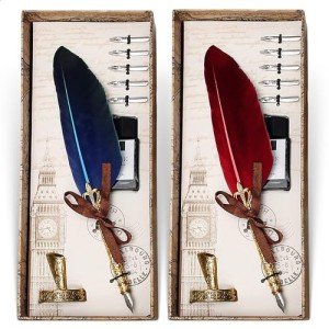 Elegant Feather Quill Pen and Ink Set