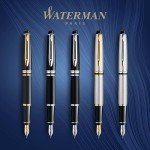 Waterman Expert Black Fountain Pen with Gold Trim