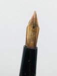 Golden Floral Carved Fountain Pen with 14K Nib