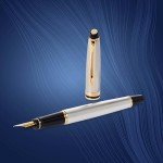 Waterman Expert Stainless Steel Fountain Pen Gift Set