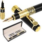 Elegant Metal Fountain Pen Set with 2 Inks