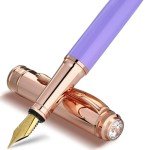 Elegant Purple Fountain Pen with 18K Gold Nib