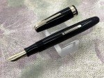 Waterman Hundred Year 14k Medium Flex Pen