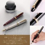 Sailor Profit 21 Black Fountain Pen, Bold 11