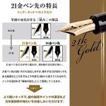 Sailor Profit 21 Black Fountain Pen, Bold 11