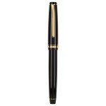 Pilot Namiki Falcon Fountain Pen - Black & Gold