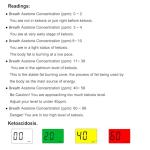 High Accuracy Ketone Breath Analyzer with 10 Mouthpieces