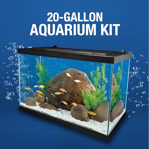 Tetra 20 Gallon LED Tropical Fish Tank Kit