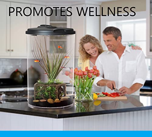 Koller AquaView 360 Aquarium Kit with LED Light