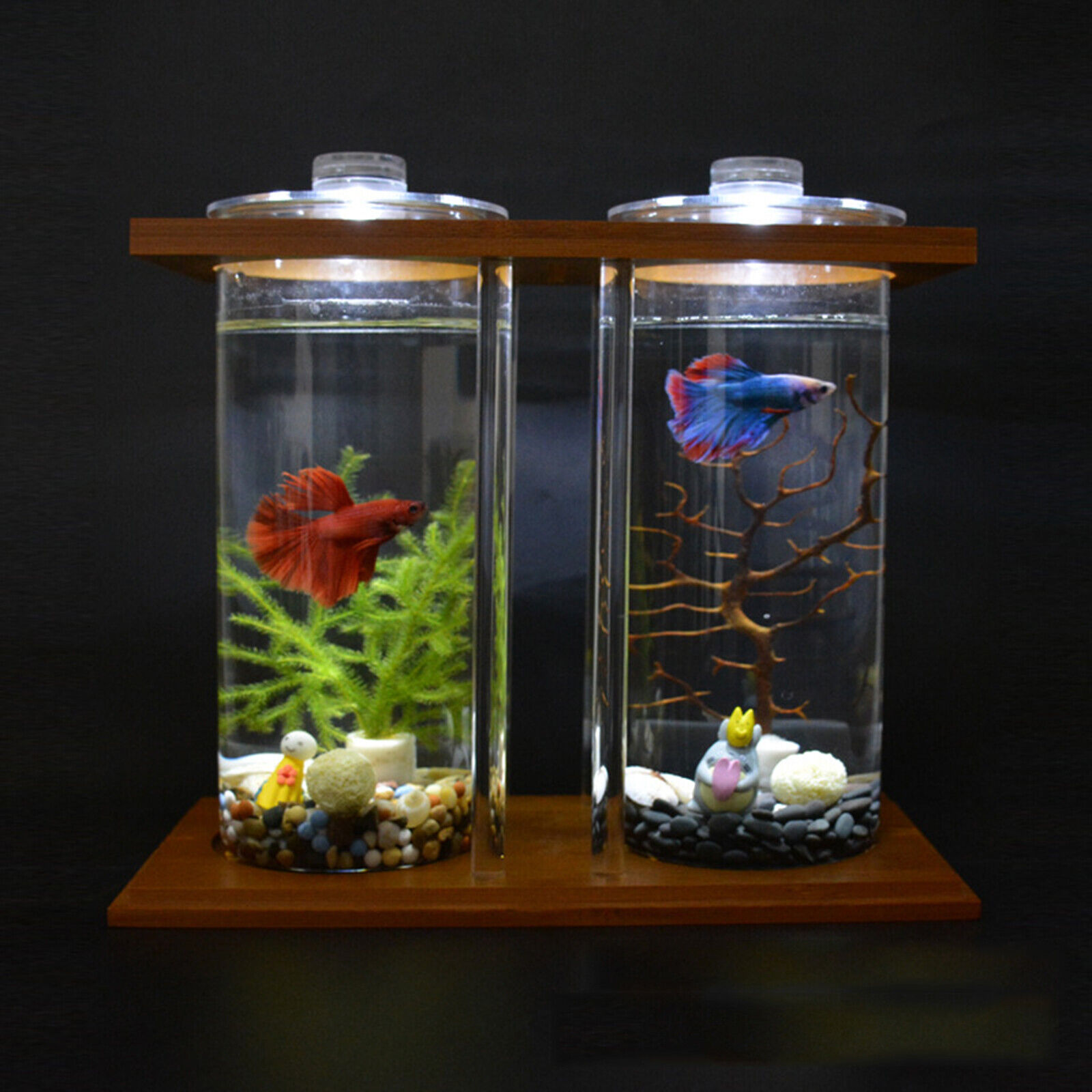 Mini Glass Betta Fish Tank with Bamboo Base