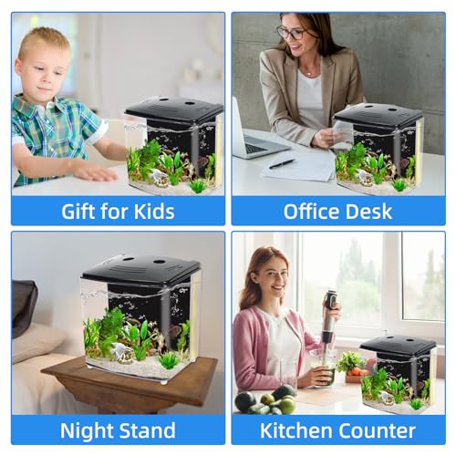 AQUANEAT 1.2 Gallon LED Betta Fish Tank