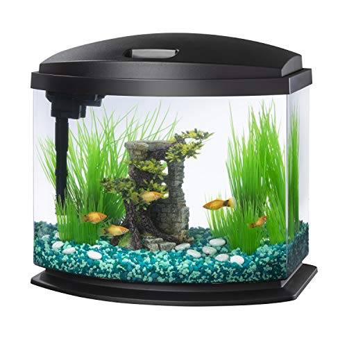 Fish Tanks