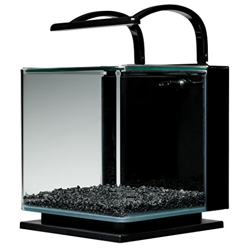 MarineLand Contour Glass Aquarium Kit with Light