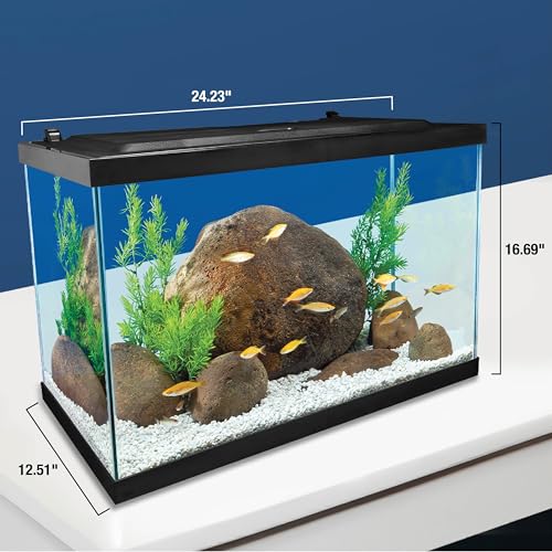 20 Gallon Complete Tropical Fish Tank Kit
