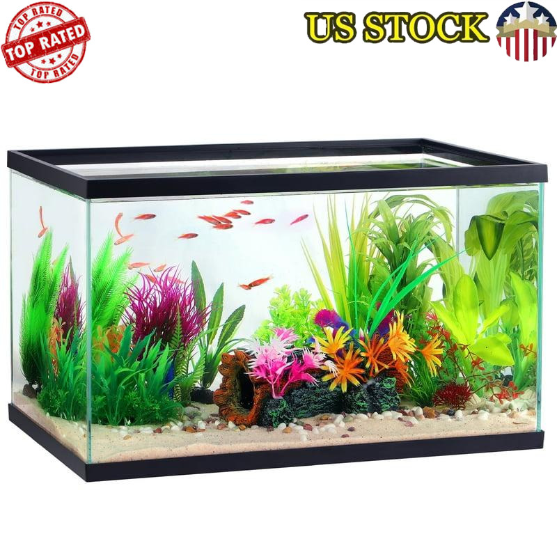 10 Gallon Double Glass Rectangle Fish Tank