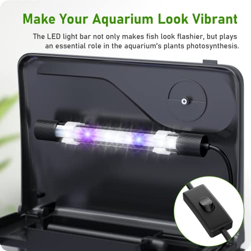 PONDON 2 Gallon Betta Fish Tank with Filter & Light