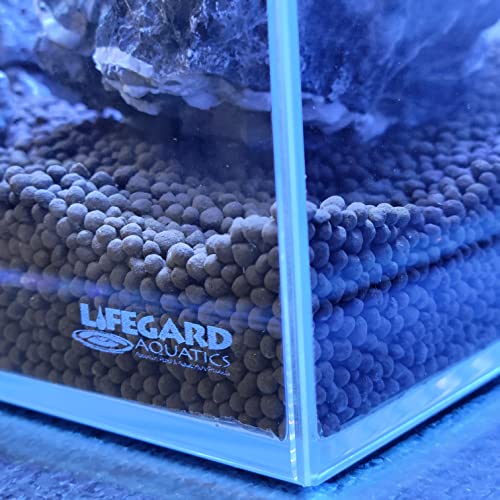 Lifegard 10 Gallon Rimless Clear Glass Aquarium