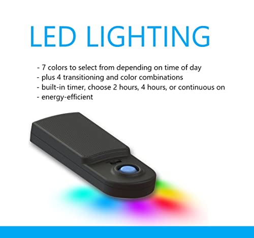 3-Gallon 360 Aquarium with LED Lighting & Filter