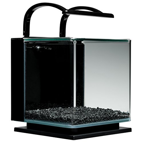 MarineLand Contour Glass Aquarium Kit with Light