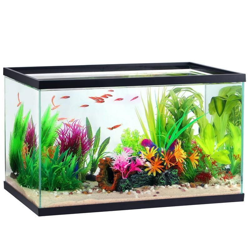 10 Gallon Double Glass Rectangle Fish Tank