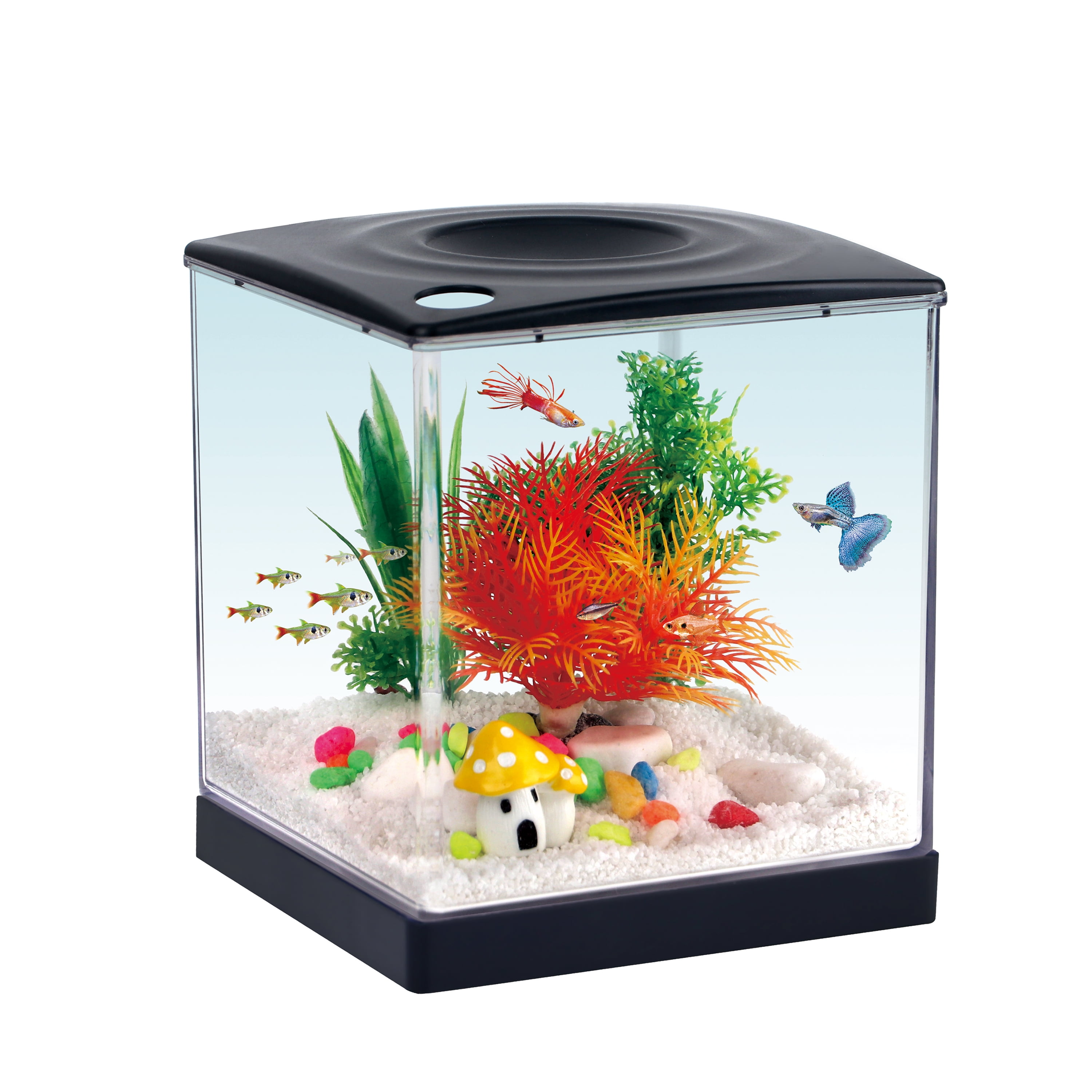 Aqua Culture 0.75 Gallon Black Aquarium