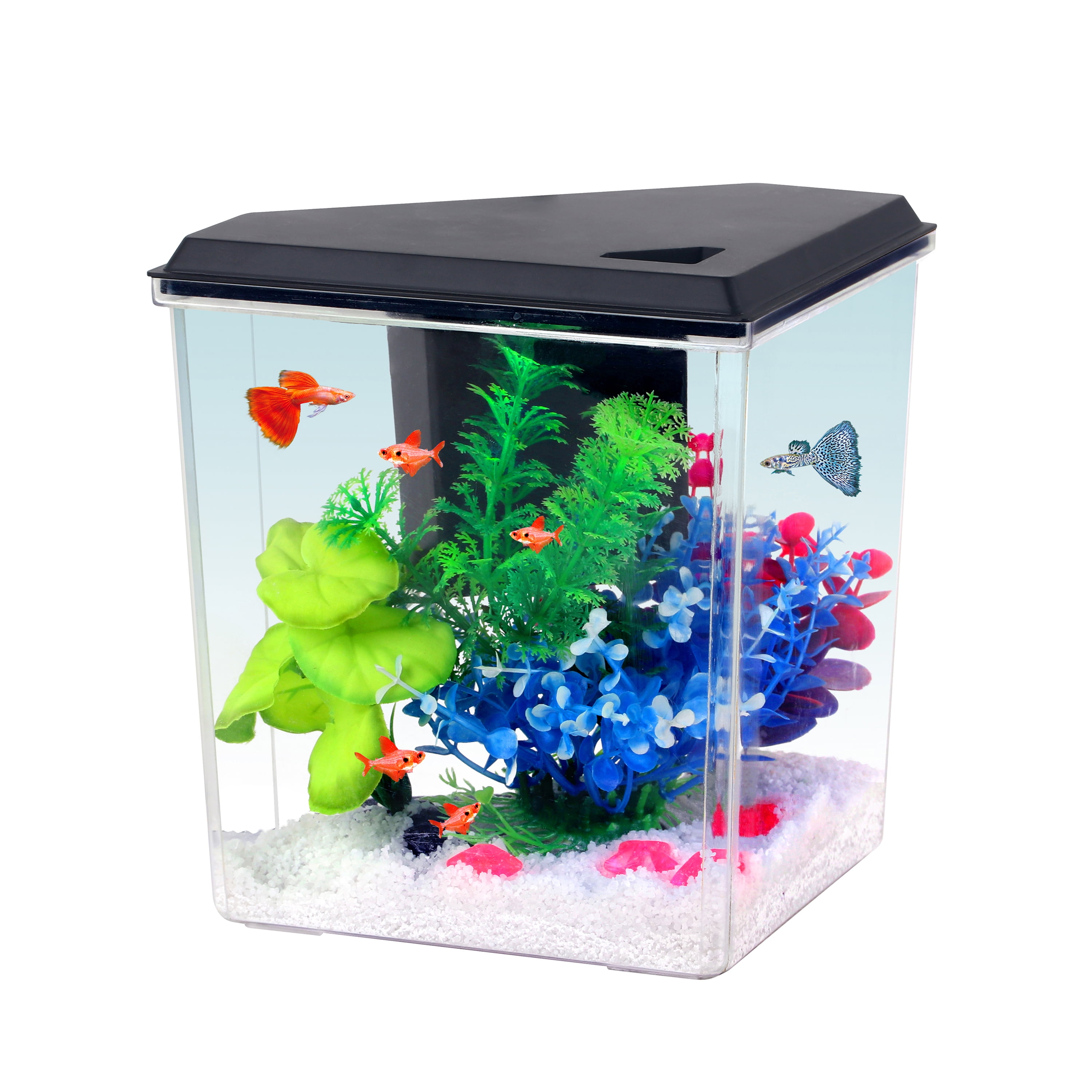 Black 1 Gallon Plastic Aquarium Tank - Aqua Culture