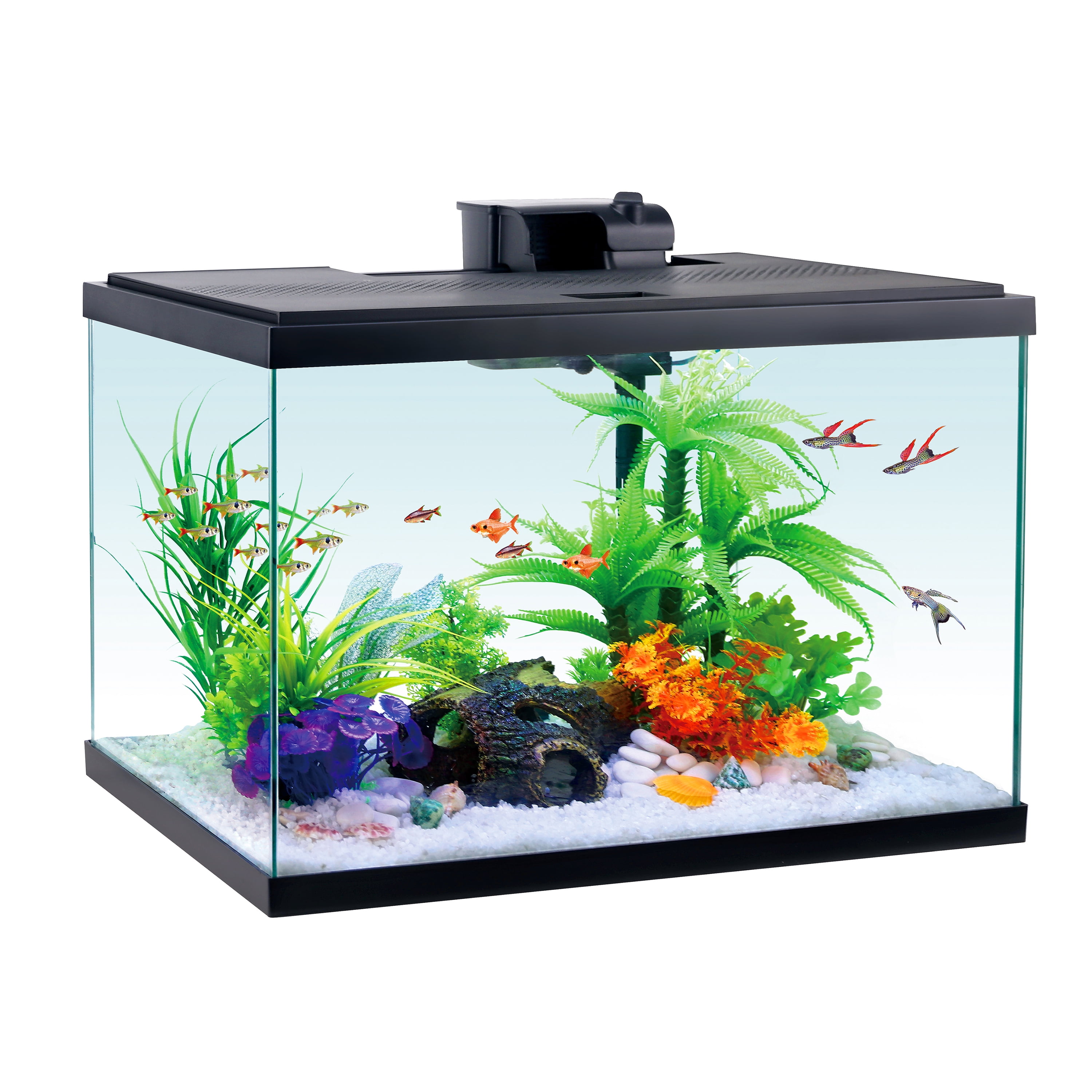 Aqua Culture 20 Gallon Aquarium Starter Kit