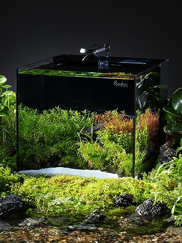 PONDON 5 Gallon Rimless Glass Betta Aquarium Kit