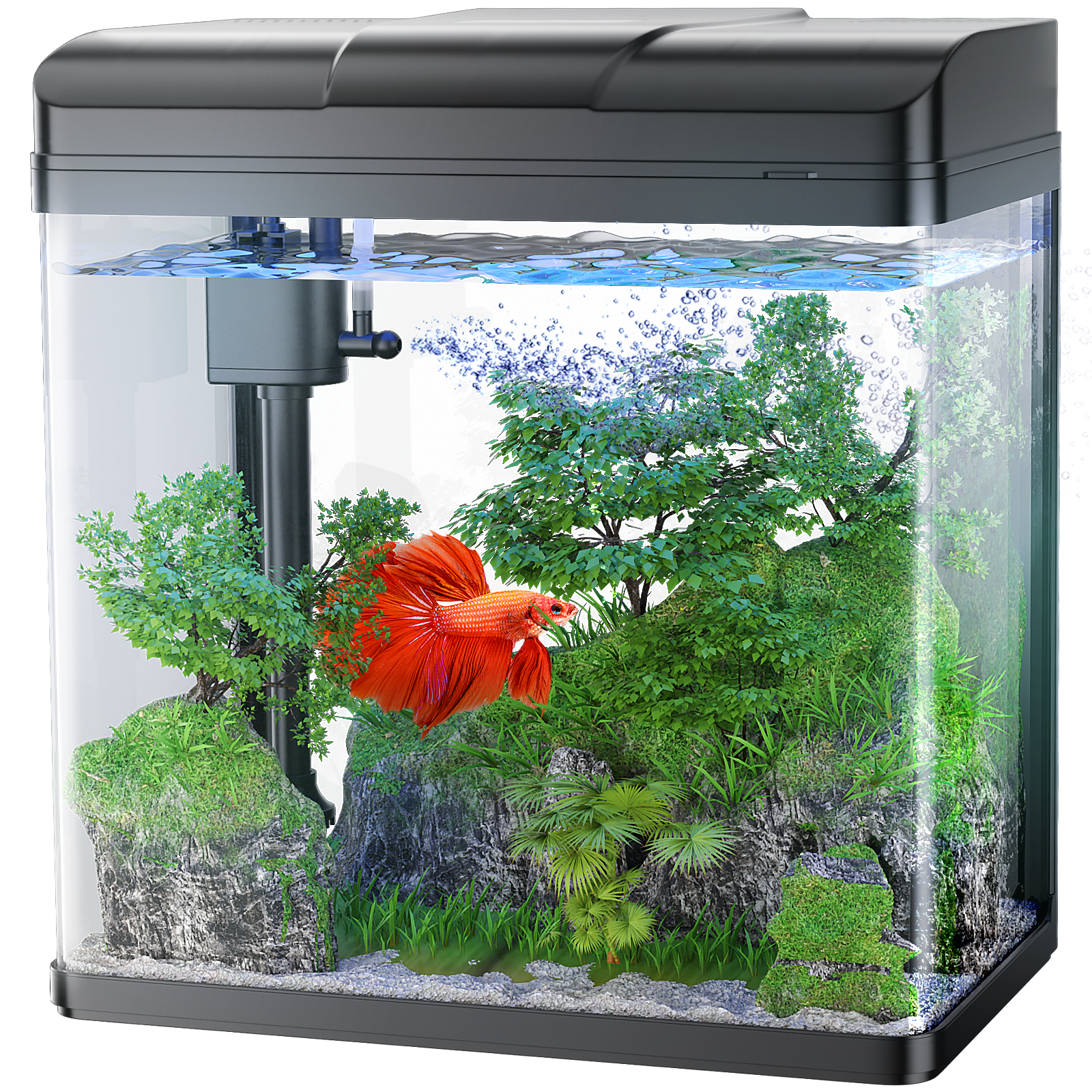 1.7 Gallon Glass Aquarium with Pump and Light