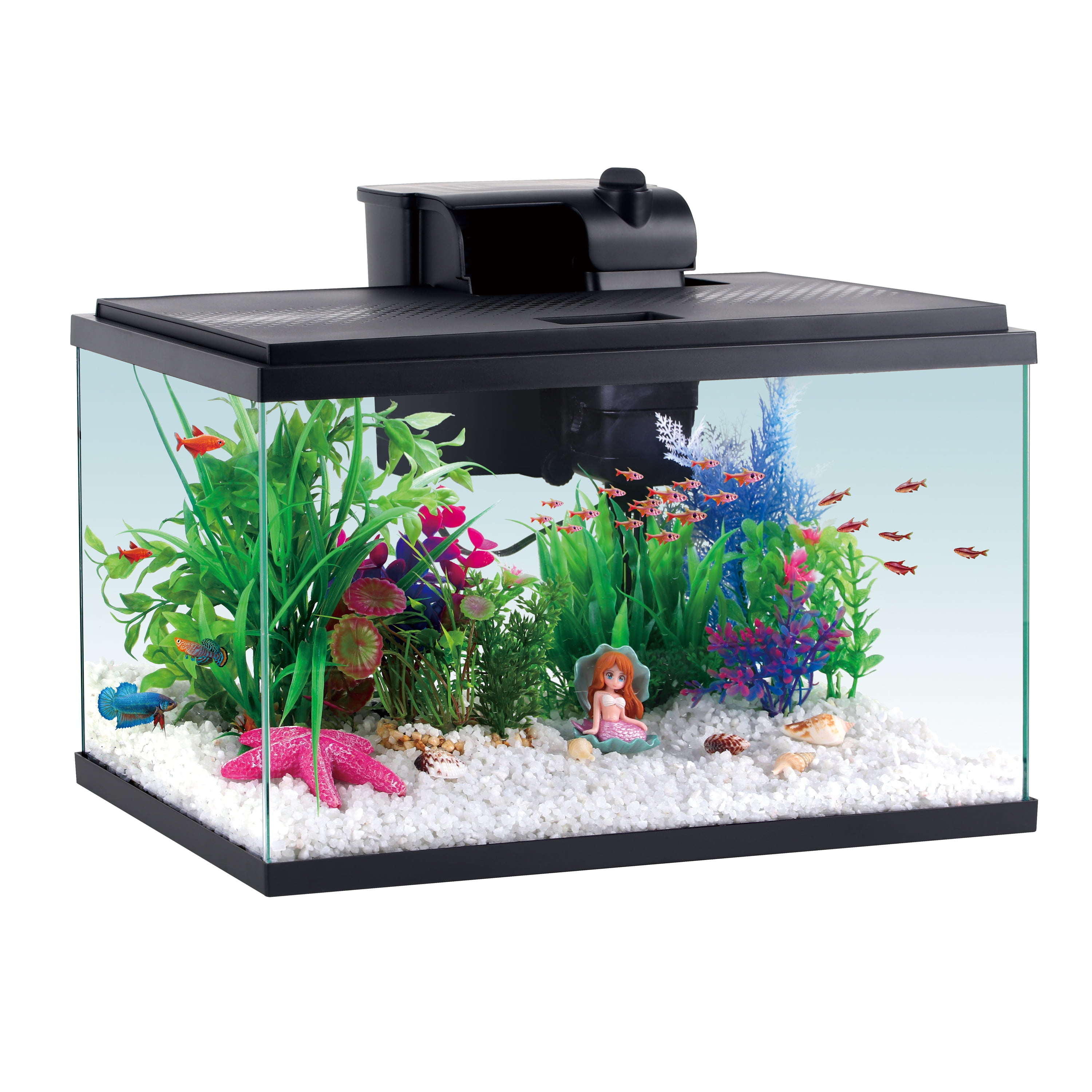 Aqua Culture 5 Gallon Glass Aquarium Kit
