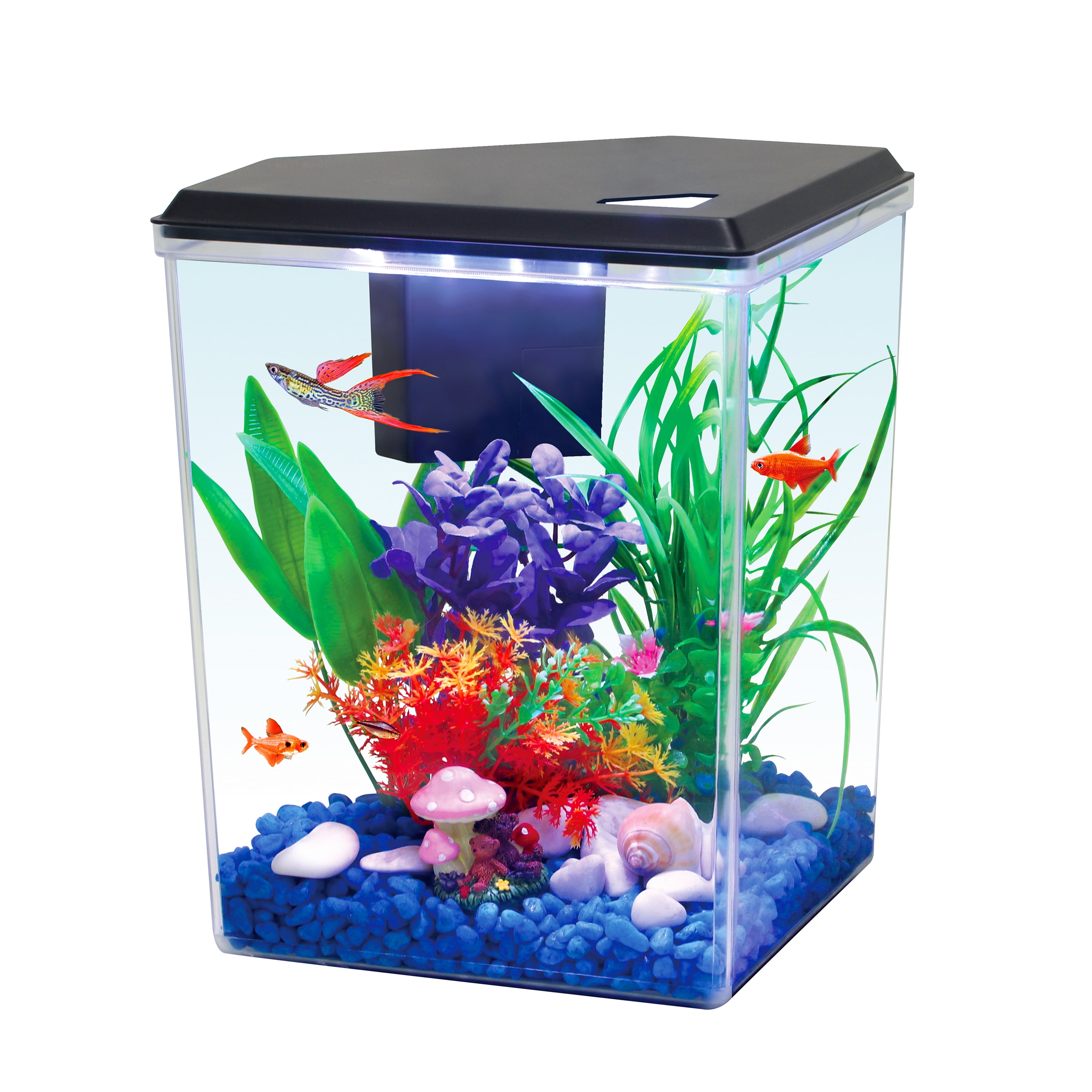 Aqua Culture 2.5 Gallon Black Aquarium Tank