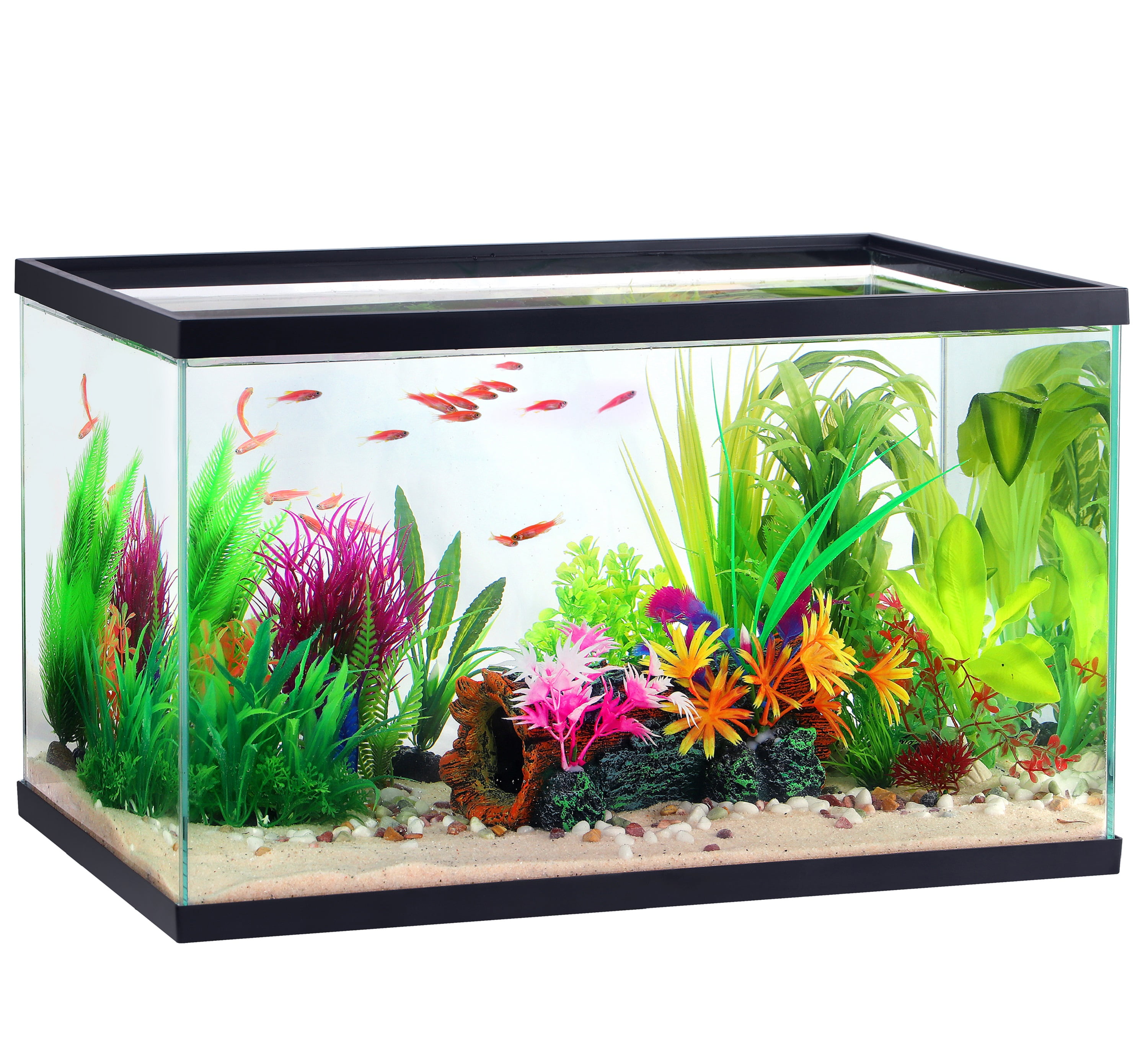 10 Gallon Clear Glass Aquarium Tank