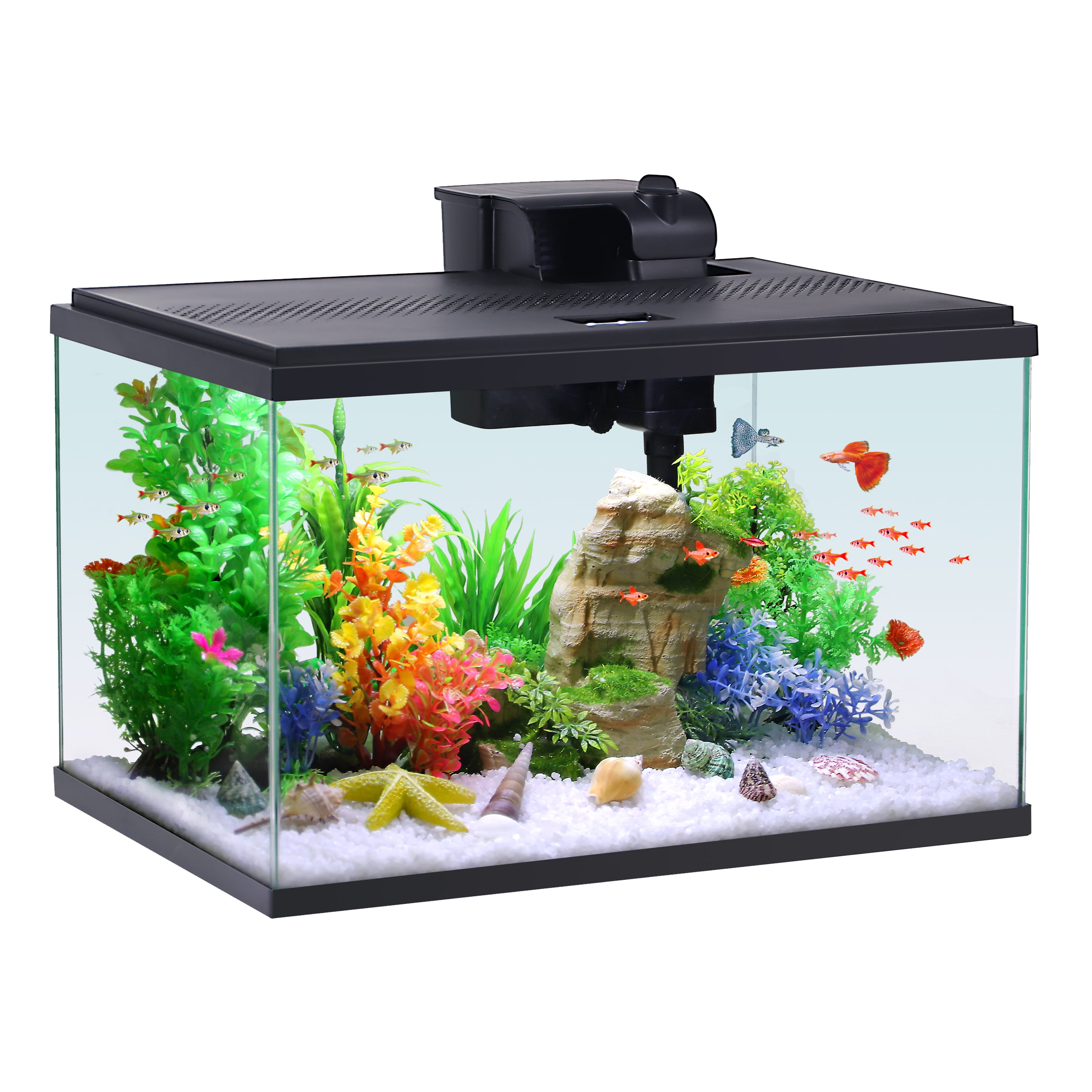 10-Gallon Glass Aquarium Starter Kit by Aqua Culture