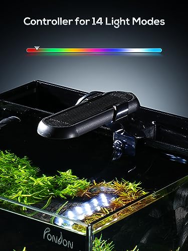 PONDON 5 Gallon Rimless Glass Betta Aquarium Kit